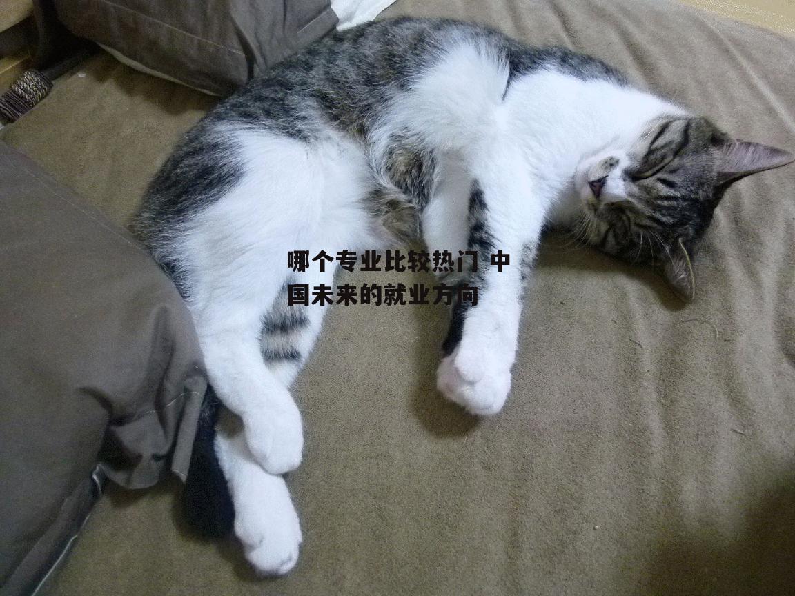 哪个专业比较热门 中国未来的就业方向